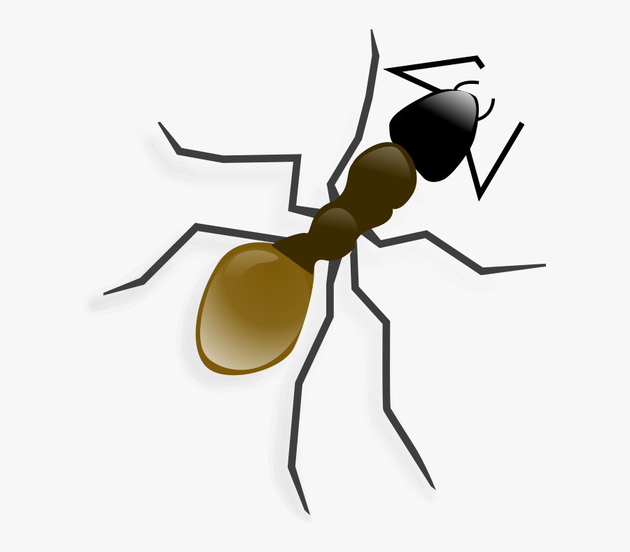 Ant 2 - Ant Clip Art, Transparent Clipart