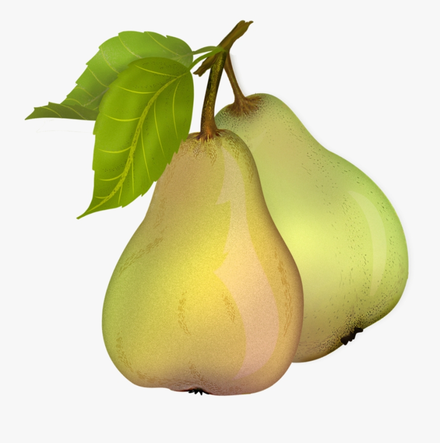 Pear Clipart To Free - Transparent Background Pear Clipart, Transparent Clipart