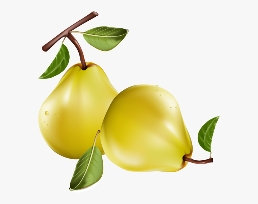 Fruit - Pears Free Clip Art, Transparent Clipart