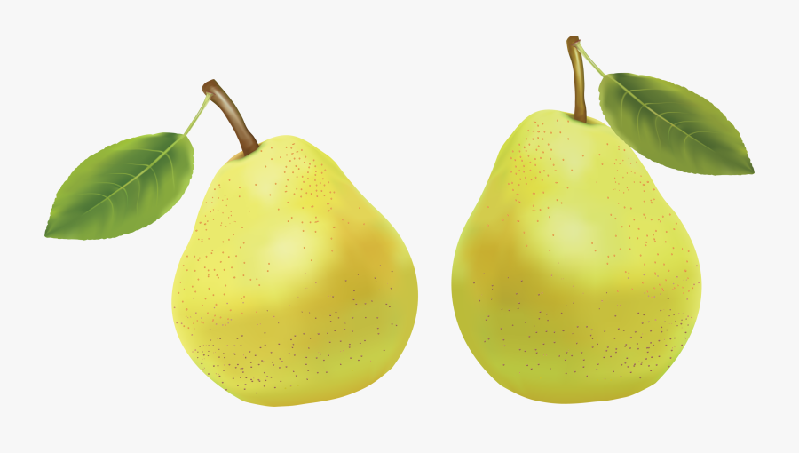 Pear Png Image - Pears Clipart Png, Transparent Clipart