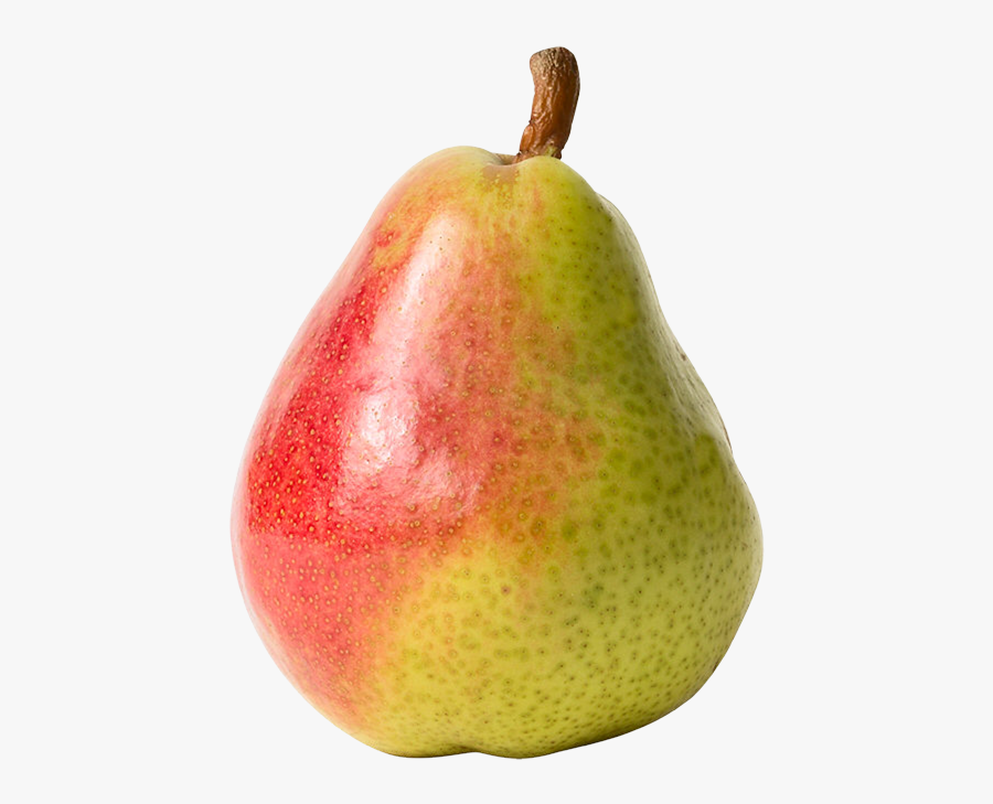 Red And Yellow Pear Png Clipart - Пнг Груш, Transparent Clipart