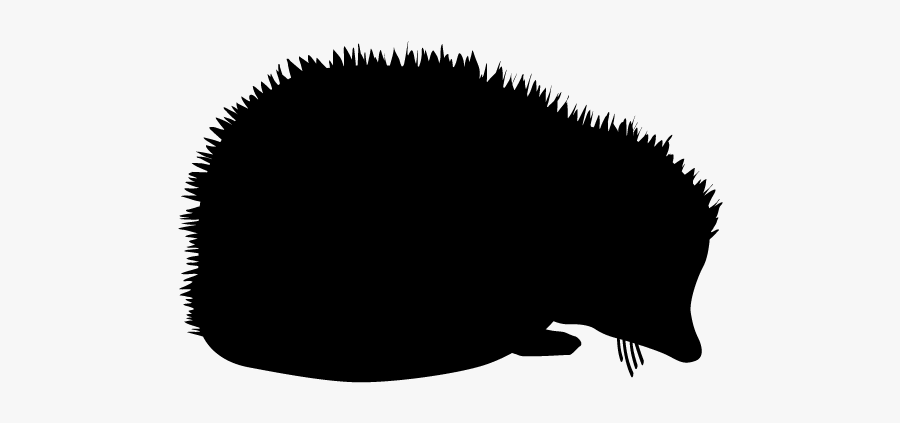 Hedgehog Clipart Silhouette - Hedgehog Silhouette Clip Art, Transparent Clipart