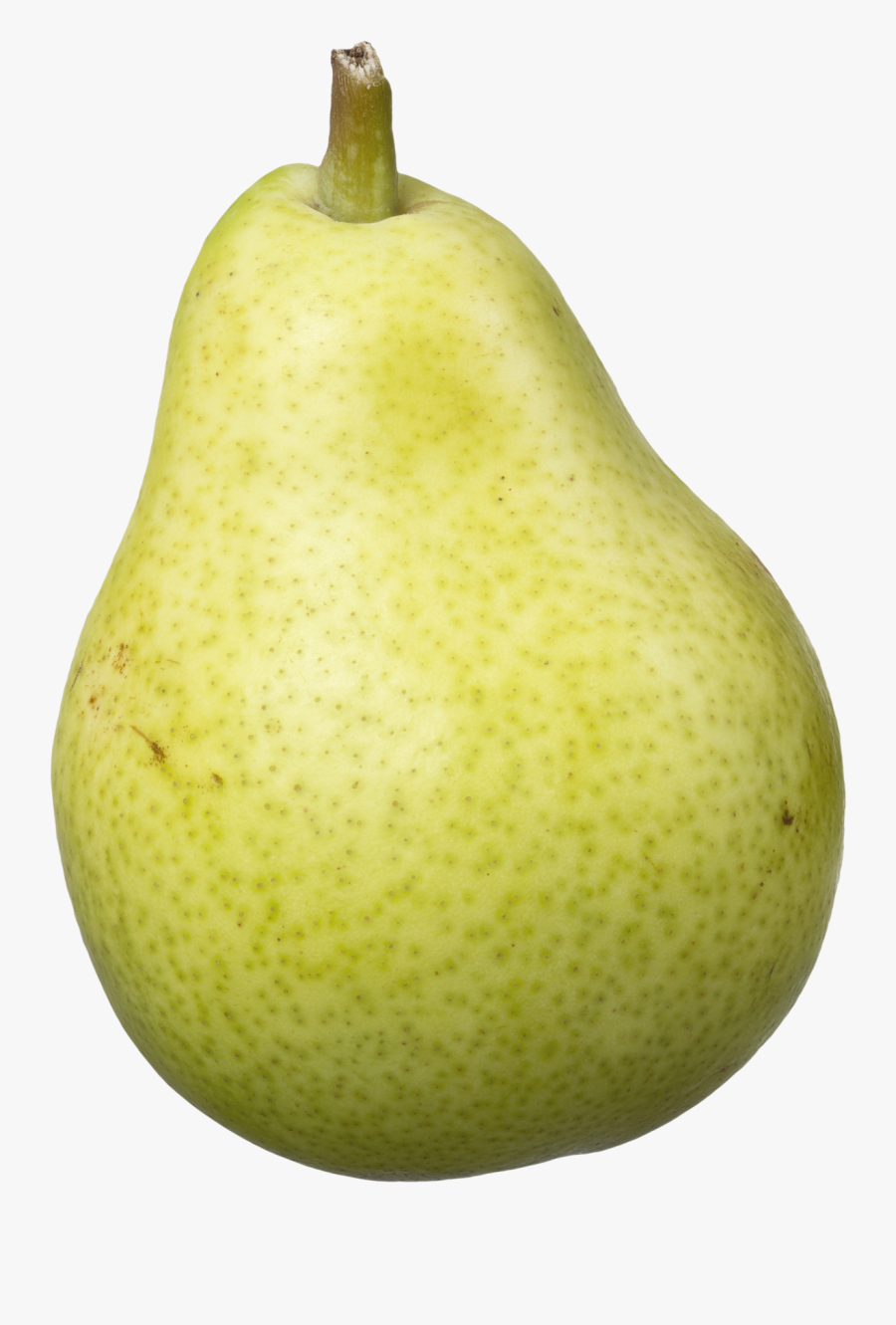 Transparent Pear Clipart - Pear Png, Transparent Clipart
