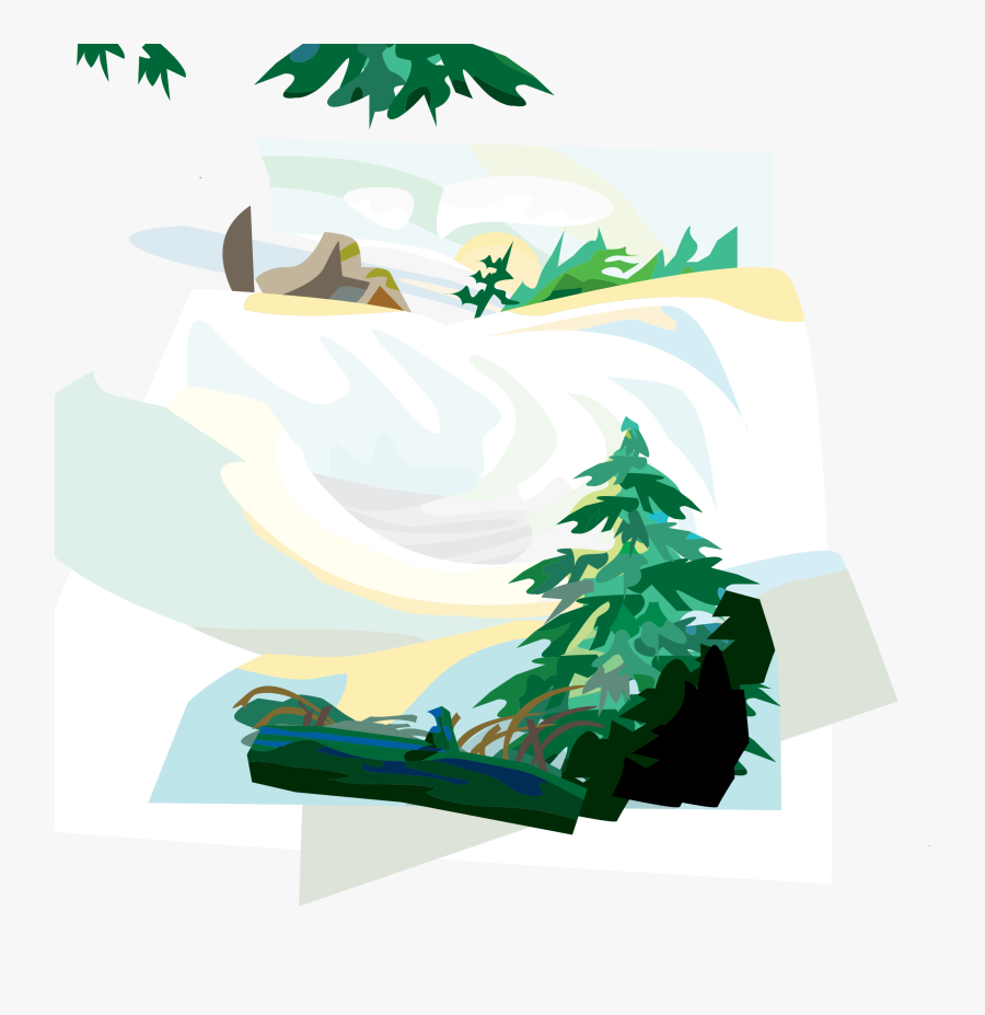 Fir,pine Family,plant - Clip Art, Transparent Clipart