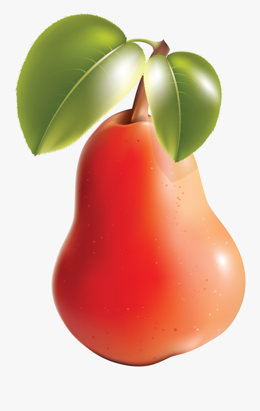 Leaves Of Different Fruits, Transparent Clipart