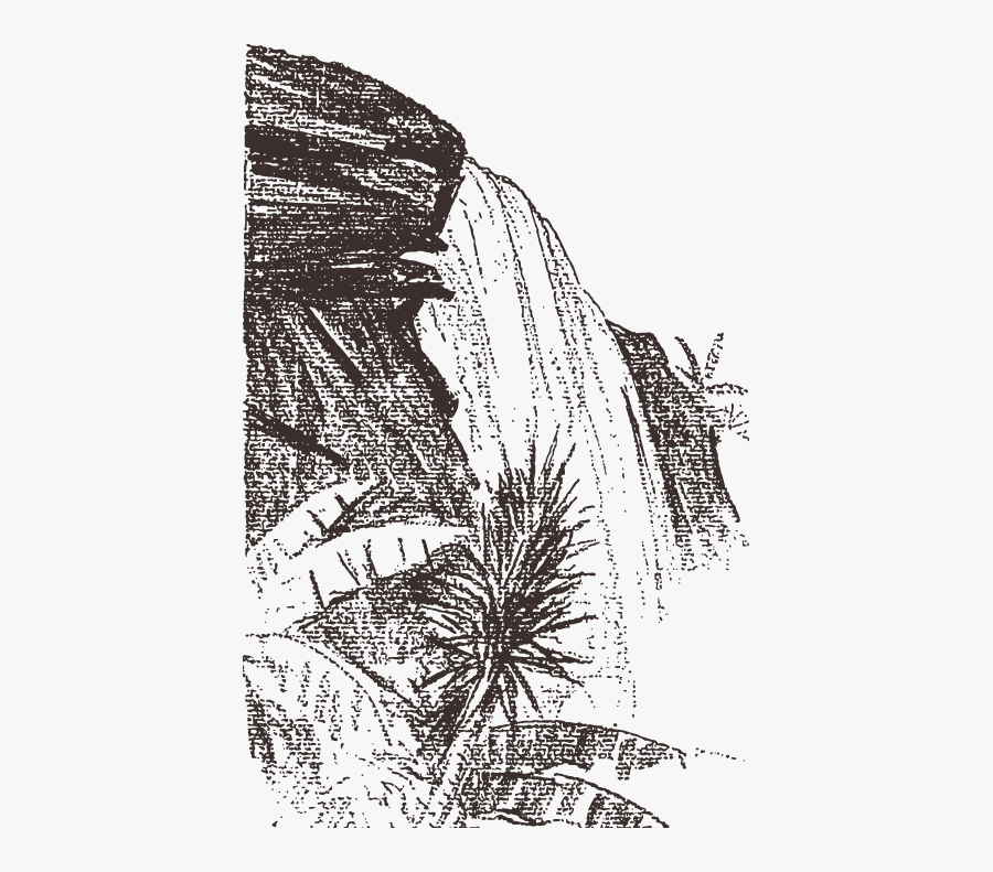 Transparent Water Fall Clipart - Waterfall Black And White Png, Transparent Clipart