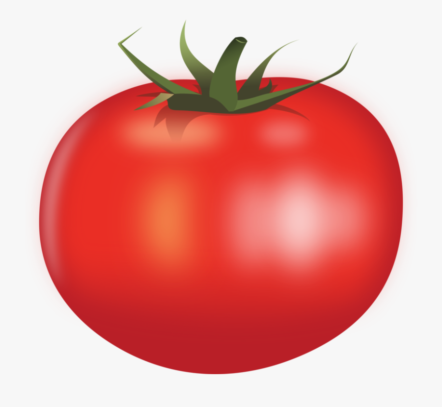 Tomato,plant,bush Tomato - Transparent Background Tomato Clipart, Transparent Clipart