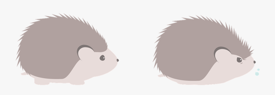 Hedgehog Clipart, Transparent Clipart