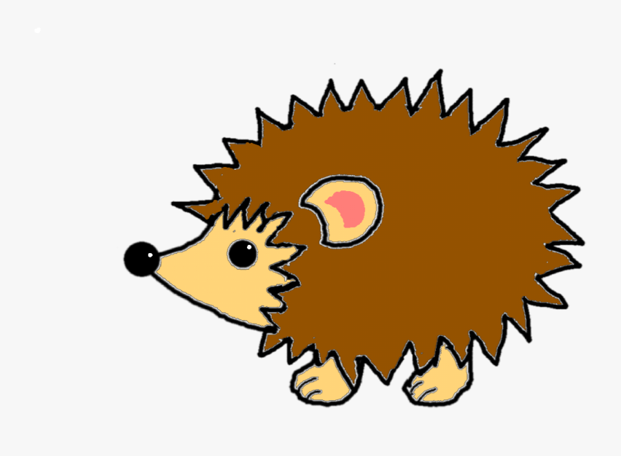 How To Draw A Adult Hedgehog - Draw Hedgehog, Transparent Clipart