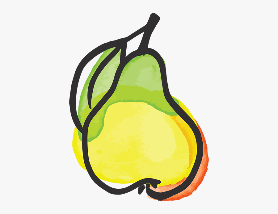 Fruits Clipart Pear - Pear Illustration, Transparent Clipart