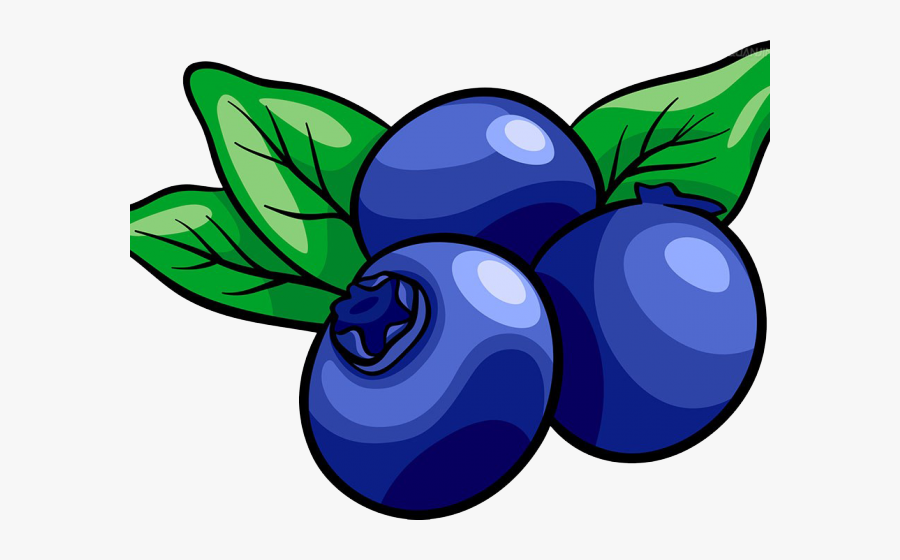 Muffin Clipart Fruit - Transparent Background Blueberry Clipart, Transparent Clipart