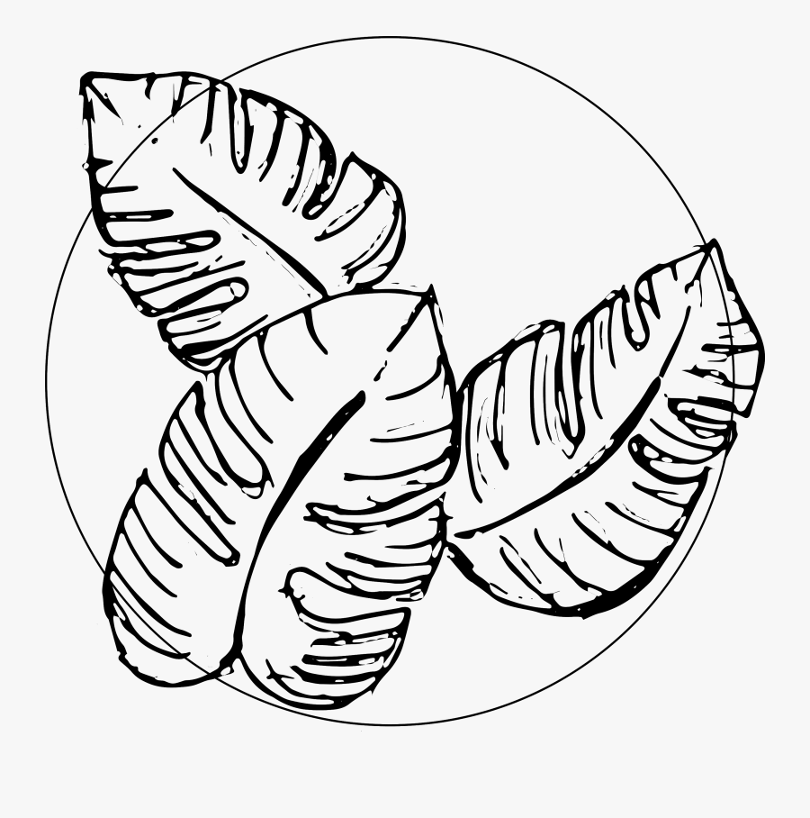 Collection Of Free Tear Drawing Waterfall Download, Transparent Clipart