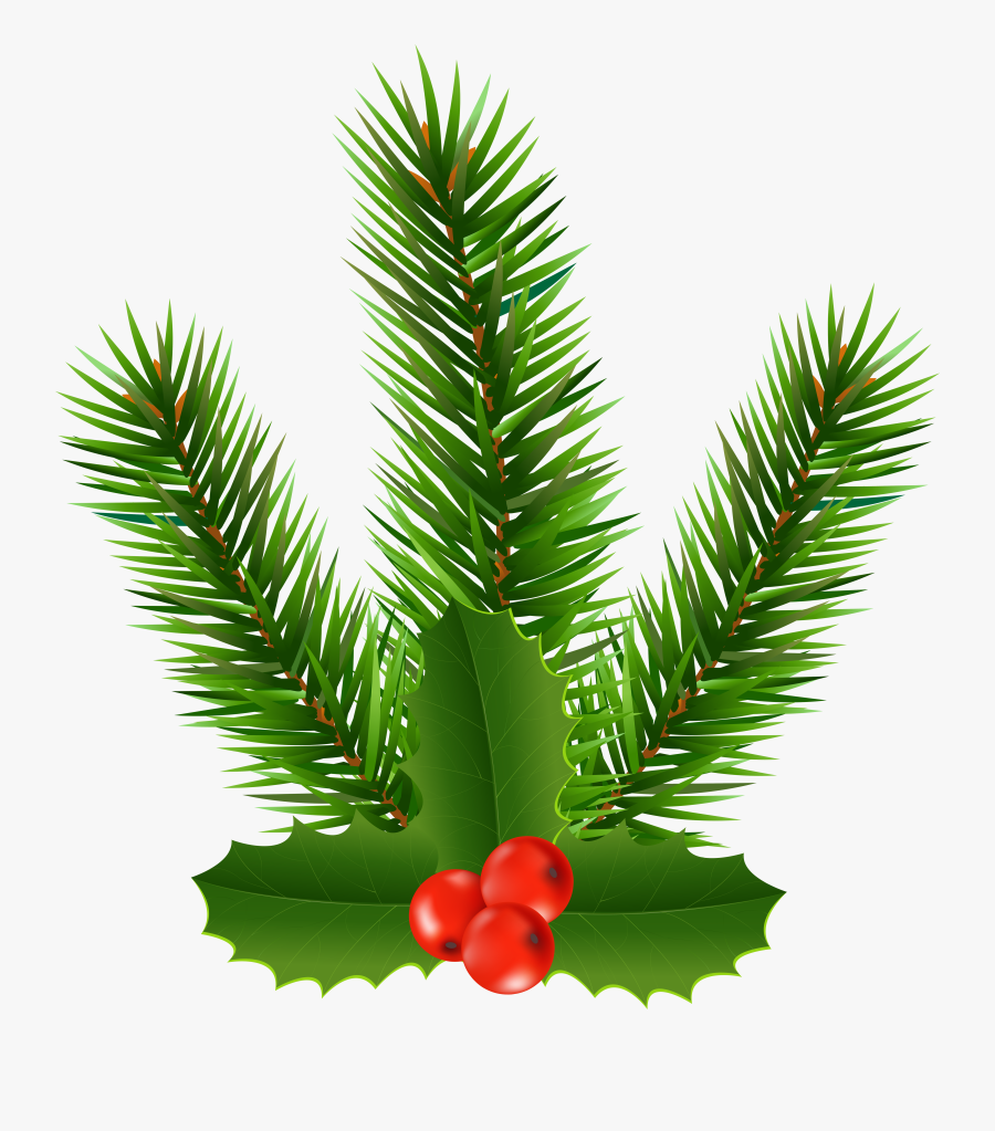 Holly Clipart Branch - Christmas Tree, Transparent Clipart