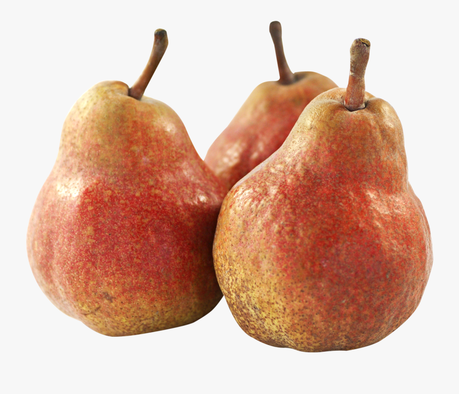 Transparent Pear Fruit Clipart - Fruit Png, Transparent Clipart