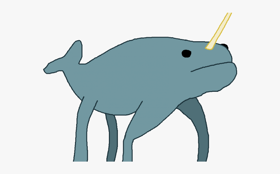 Transparent Narwhal, Transparent Clipart