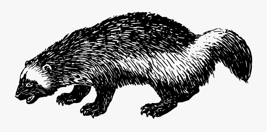 Big Image Png - Icon, Transparent Clipart