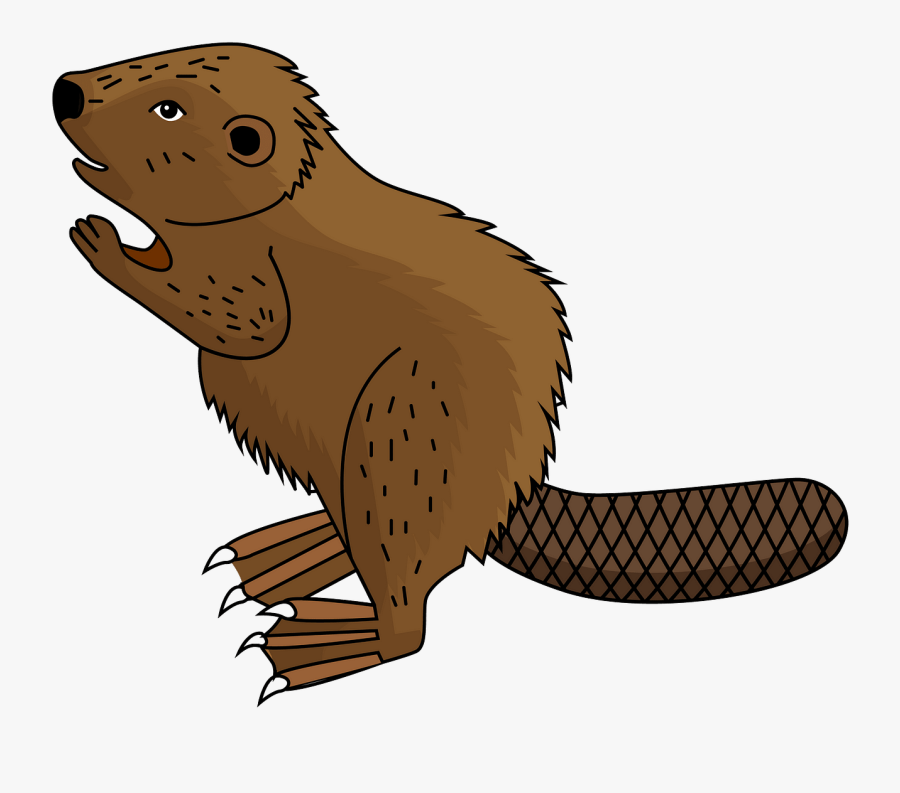 Punxsutawney Phil, Transparent Clipart