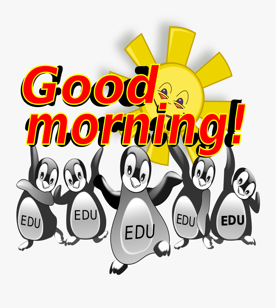 Transparent Morning Png - Wednesday Good Morning Penguin, Transparent Clipart