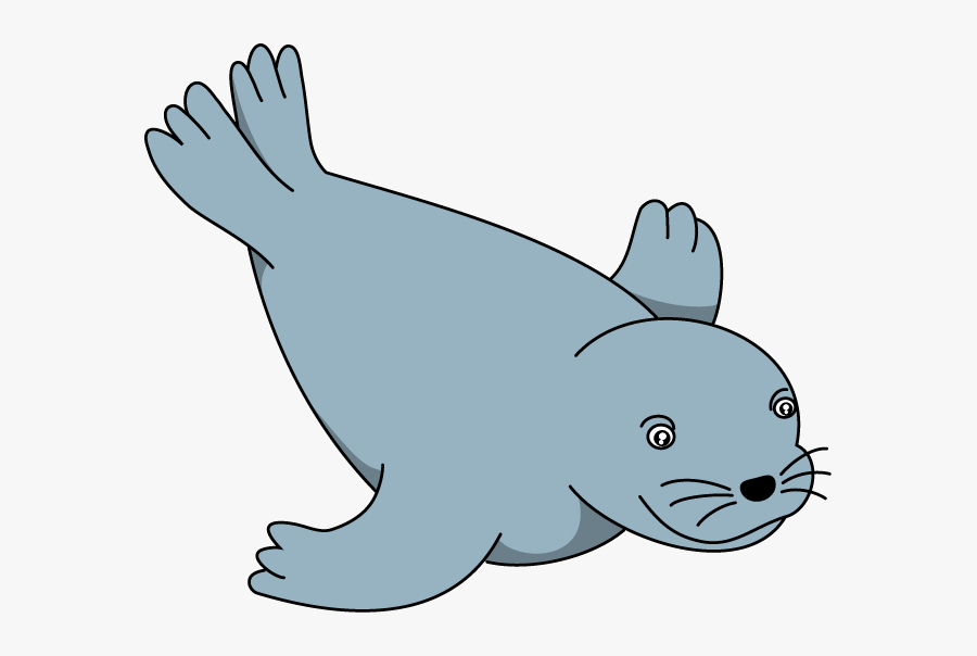 Seal Clipart - Seal Clipart Png, Transparent Clipart