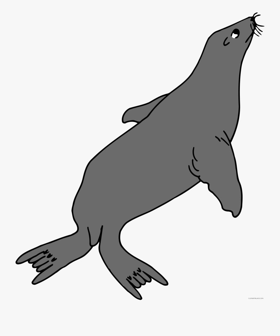 Transparent Seal Clipart Black And White - Walrus Drawing Tail, Transparent Clipart