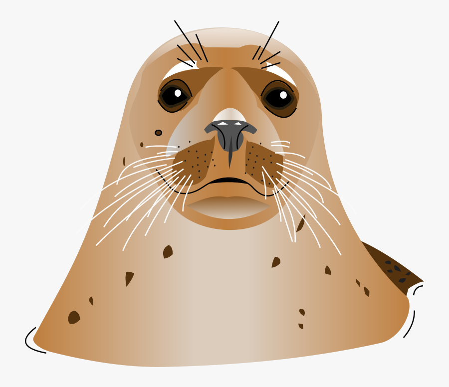 Seal - Seal Head Animal Transparent Png, Transparent Clipart