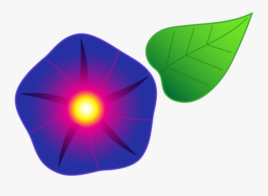 Clip Art Morning Glory Leaf Clipart Free Download - Morning Glory Clipart, Transparent Clipart