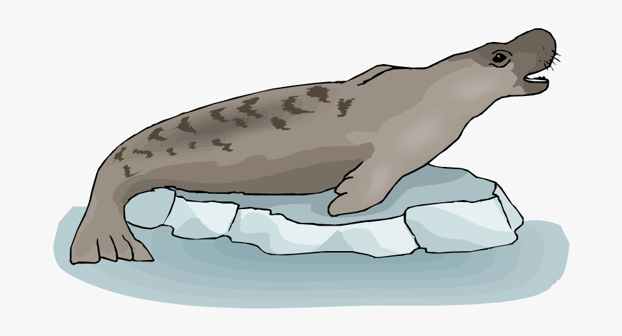 Illustration, Transparent Clipart