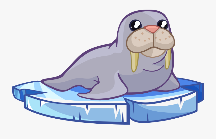 Latest Seal Clipart - Walrus Clip Art, Transparent Clipart
