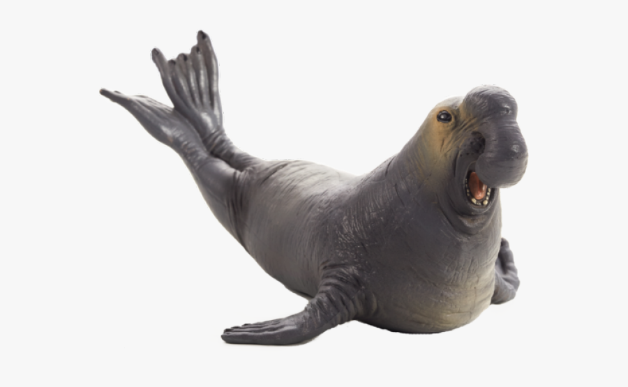 Mojo Sea Elephant, Transparent Clipart