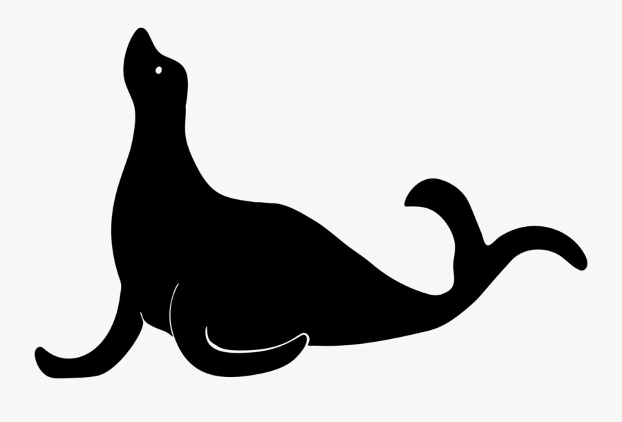 Sea Lion Clipart Animal Shadow - Clipart Black And White Seal, Transparent Clipart