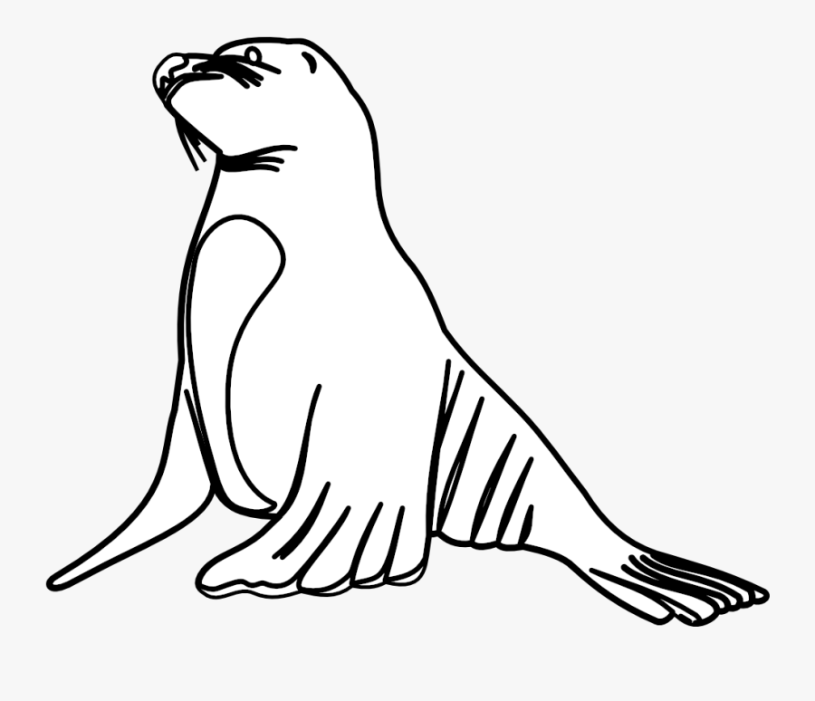 Transparent Sea Lions Clipart - Line Art, Transparent Clipart