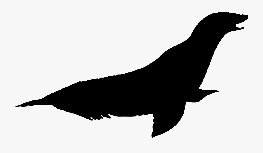 Eagle Big Image Png - Silueta De Lobo De Mar, Transparent Clipart