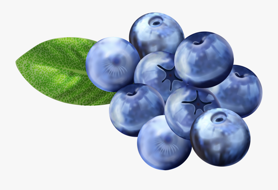 Clip Art Blueberries Clipart For - Transparent Background Blueberries Clip Art, Transparent Clipart