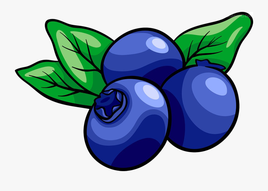 Transparent Blueberry Muffin Clipart - Blueberry Clipart Png, Transparent Clipart