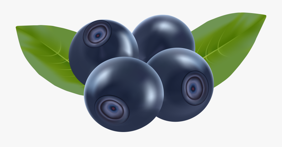 Blueberries Png Clip Art - Transparent Background Blueberry Clipart, Transparent Clipart