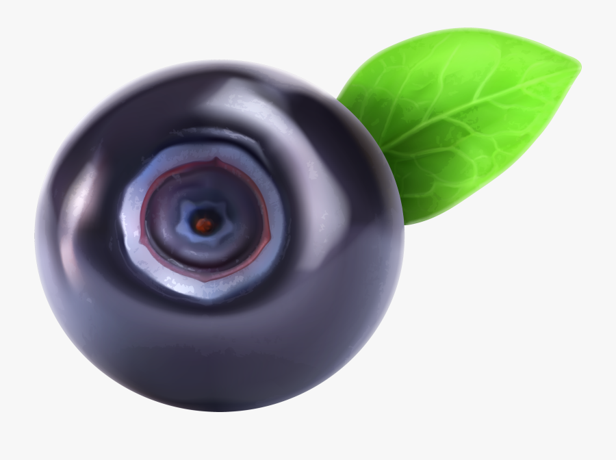 Blueberry Png Clipart - Blueberry Png, Transparent Clipart