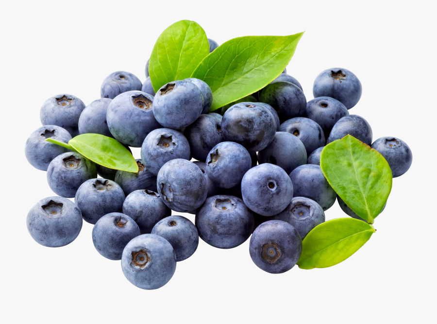 Blueberry Png Free Download - Blueberries Clipart, Transparent Clipart