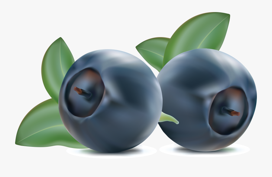 Blueberries Png - Clip Art Blueberry Png, Transparent Clipart