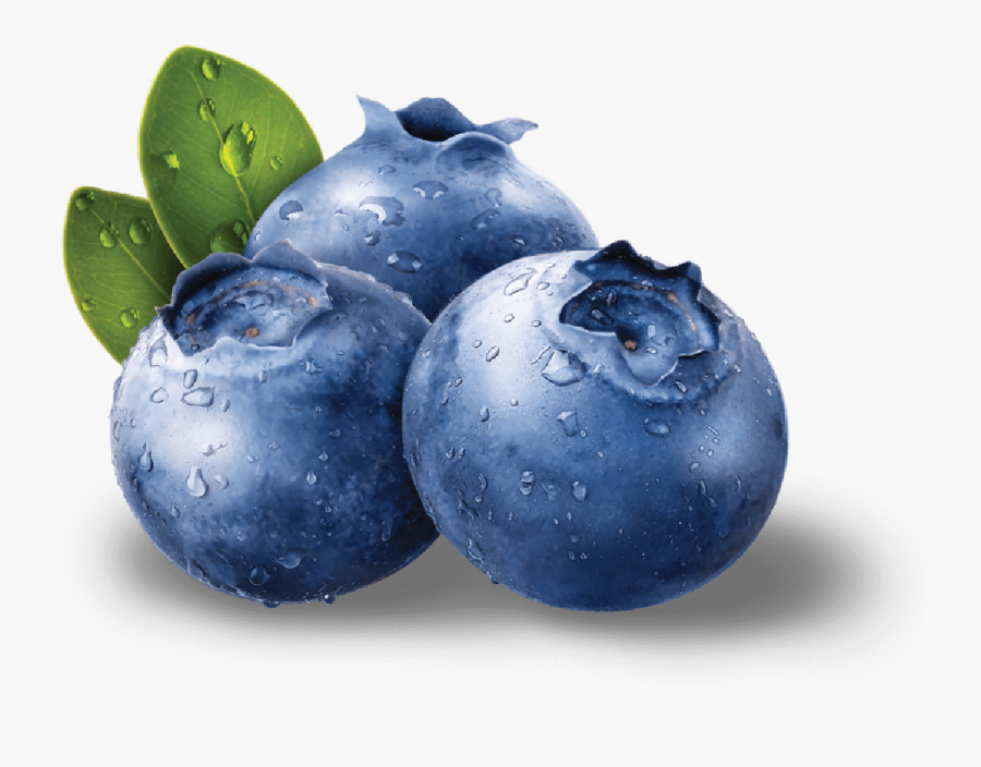 Blueberries Png Image Purepng - Blueberry Png Transparent , Free
