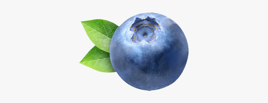 Blueberry Png Clipart - Blue Berry Png, Transparent Clipart