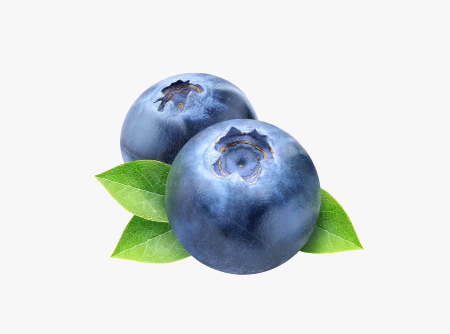 Blueberry Png Photos - Transparent Background Blueberry Clipart, Transparent Clipart