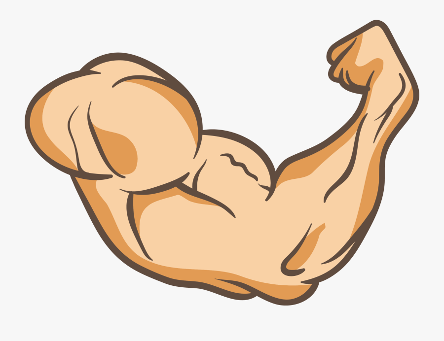 Clip Art Arms Thumb Muscle Clip - Transparent Muscle Arm Png, Transparent Clipart