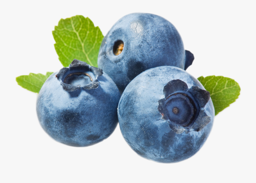 Do You Say Blueberry In Spanish, Transparent Clipart