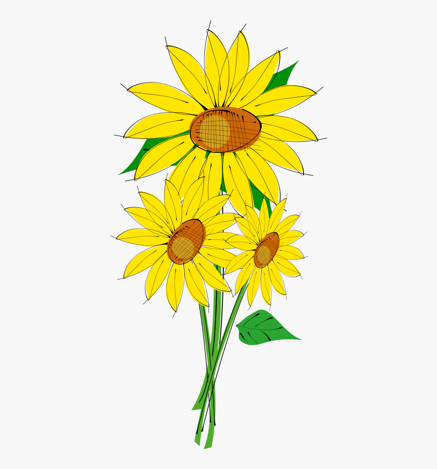 Sunflower Free Image Transparent Background, Transparent Clipart