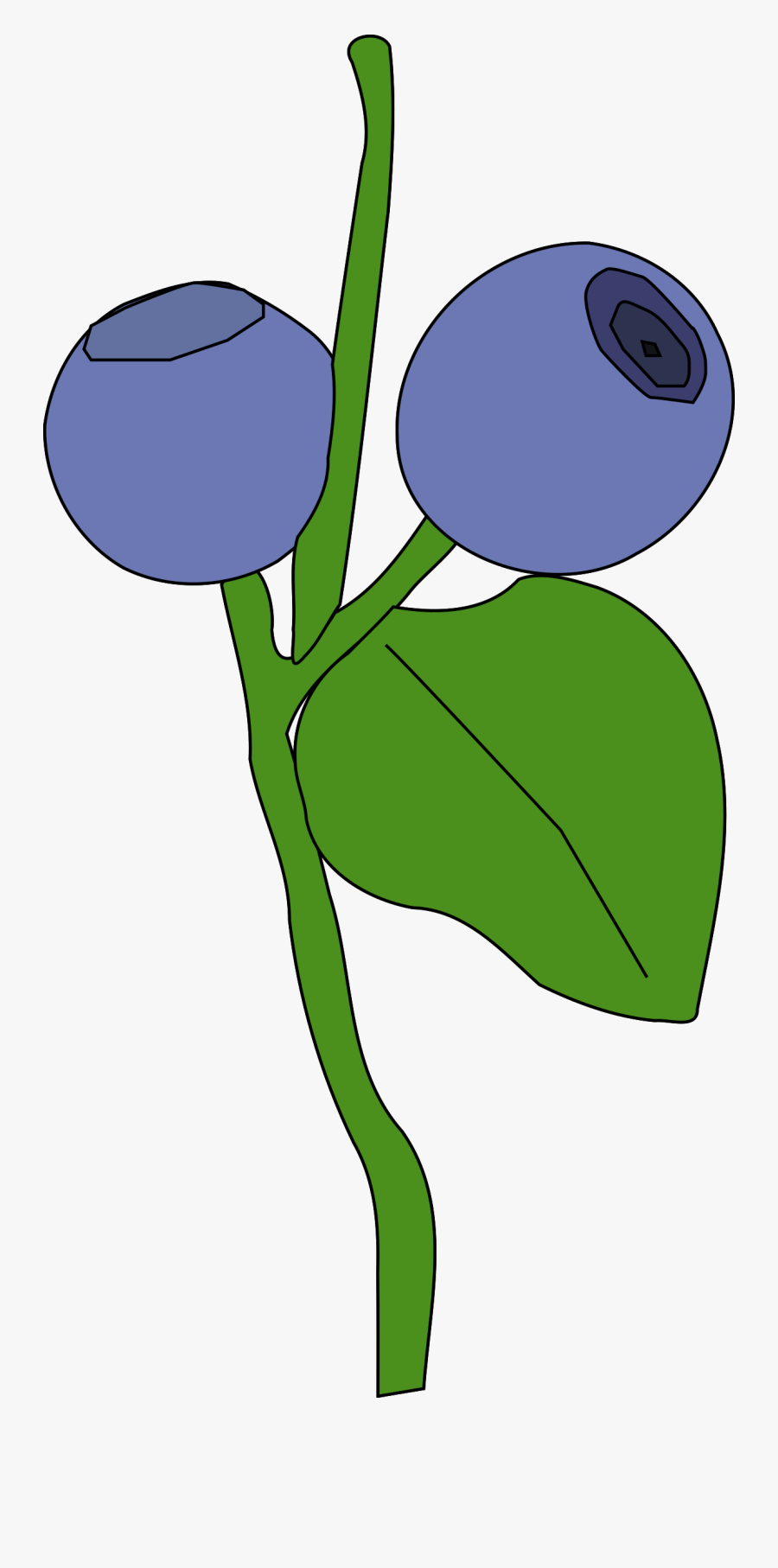 Blueberry - Berry Clip Art, Transparent Clipart