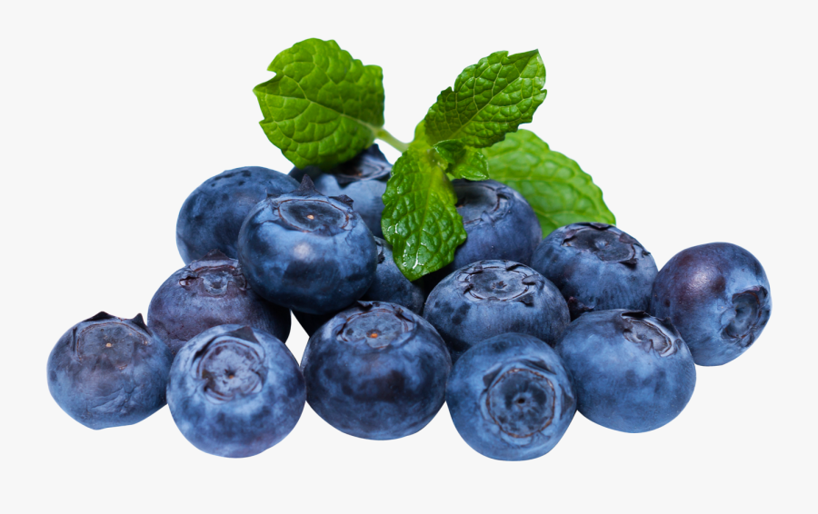 Blueberry Free Images Toppng - Transparent Background Blueberry Png, Transparent Clipart