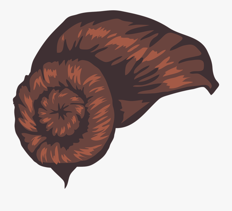 Star Wars Princess Leia Darth Vader Free Picture - Princess Leia Hair No Background, Transparent Clipart