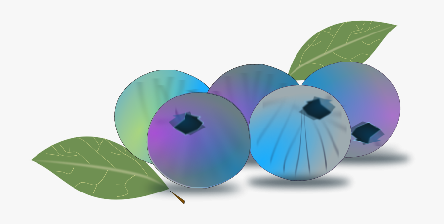 Blueberry - Arandanos Vector Png, Transparent Clipart