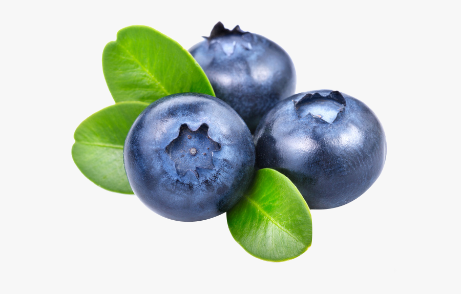 Blueberries Png, Transparent Clipart
