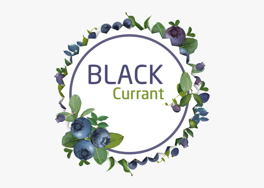 Clip Art Decorative Watercolor Black Currant - Black Currant Sticker, Transparent Clipart